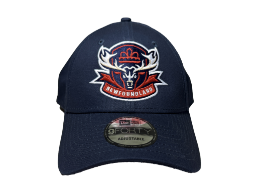 Newfoundland Regiment Primary Logo - Draft Exclusive Hat - Image 2